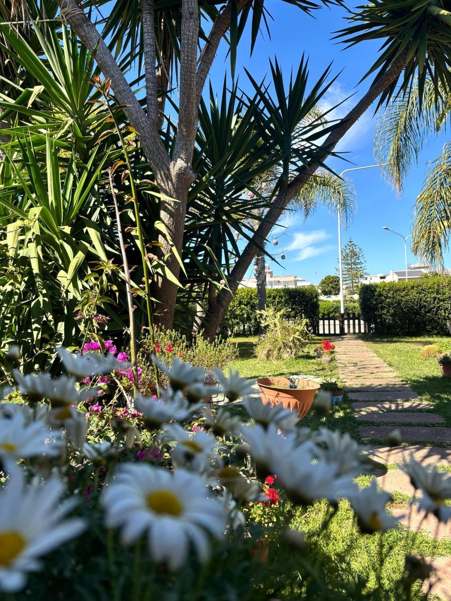 Agua Marina * Avola